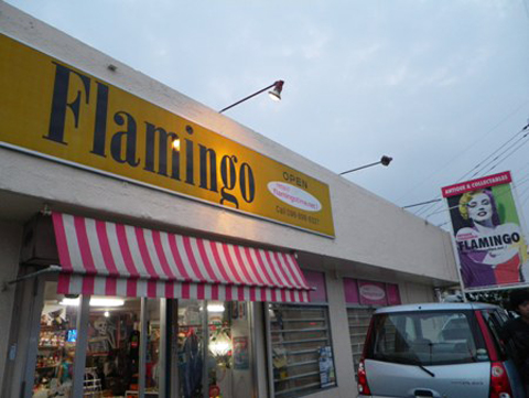 （買）Flamingo