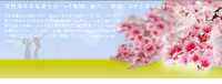 ＰＣのテンプレート 2009/02/13 09:34:14