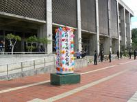 成人式写真vol.２ 2009/01/15 14:29:30