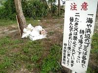 「癒しの島」の恥