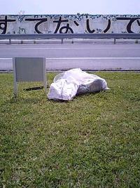 一人ごみもあい中 2008/04/20 10:15:45