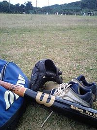 野球場もキレイにします！ 2009/02/14 19:27:17