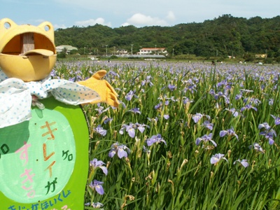 沖縄国際○○祭