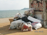 ＧＷ（ゴミわんさか）　海中道路編 2009/05/06 11:34:10