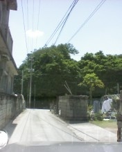 海の家　GUN PUSH☆CAFEのスタッフ日記 2009/05/12 12:49:25
