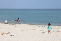 はいさい。 2009/07/30 09:38:26