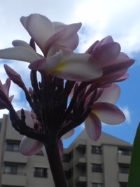 愛情を注いだ分だけ・・。 2012/05/25 13:31:49