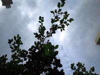 曇り空。 2012/11/05 20:05:44