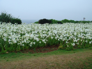 伊江島