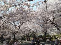 銀閣寺