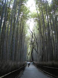 夏の京都