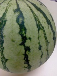 マンゴーのお次は