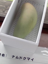 マンゴーづくし