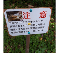 末吉公園で‼️ 2018/07/19 09:53:58