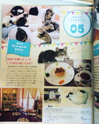 猫カフェ 2018/01/17 11:26:15
