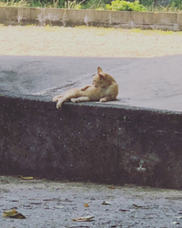 熱中症対策に‼️ 2018/07/26 09:54:10