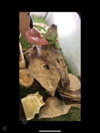 今日まで！ 2018/05/27 09:22:10