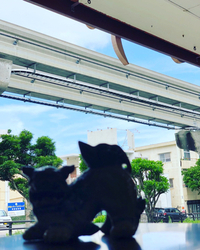 気持ち良さそうさ~ 2018/05/10 10:21:32