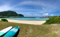 お目覚めに~♪ 2018/06/27 11:39:04