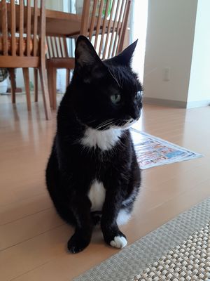 家族増えました