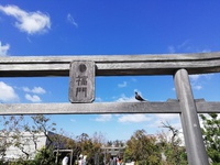 九州の旅2019★彡Part７：鉄道神社＆屋上広場in博多駅