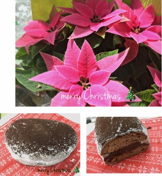 Christmas  cake♪