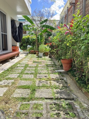 梅雨明けの庭清掃