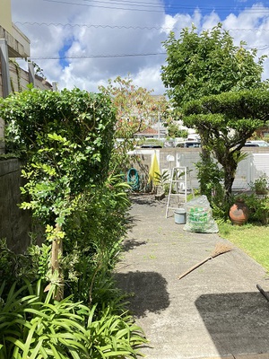 梅雨明けの庭清掃