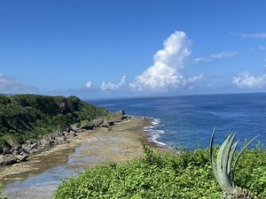 梅雨明けの庭清掃