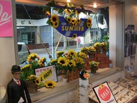 夏っ!! 2013/06/24 21:14:08