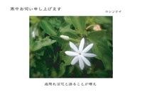 寒中お伺い申し上げます
