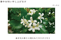 残暑お伺い申し上げます