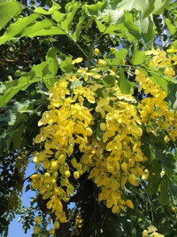 おめでとうございます！ 2020/06/27 11:08:51