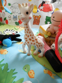 Ｓｏｐｈｉｅ　ｌａ　ｇｉｒａｆｅ 2013/05/14 06:57:56