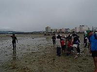 泡瀬干潟観察会