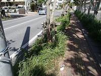 本日は晴天なり～