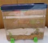 季節が変わってゆく 2006/11/09 09:45:46