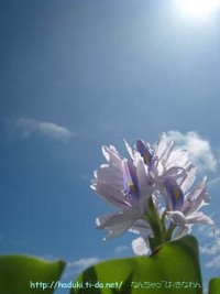 記念ってヤツ？ 2007/07/19 11:14:44