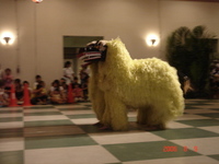 ☆　獅子舞に