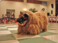 ☆　獅子舞に