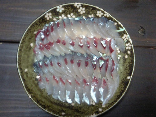 マタキチが魚釣って来た！