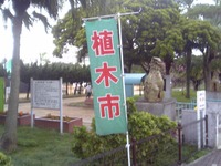 はいさい！植木市