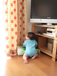 立った・・・？ 2008/04/20 18:30:35