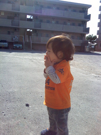 あけましておめでとうございます。 2009/01/01 12:32:17