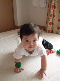 最近の息子さん 2008/05/29 22:01:33