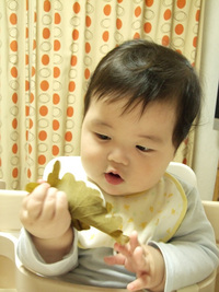 初節句を祝う 2008/05/05 22:24:00