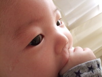 すくすく元気に育ってます。 2007/12/24 22:50:49