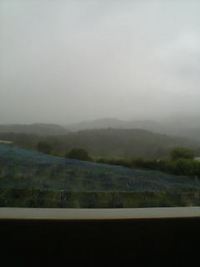 すごい雨・・・ 2007/06/18 11:50:45