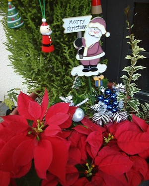 Merry Xmas！！