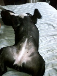 そいね 2010/06/21 20:38:47